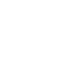 Gutter Cleaning