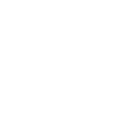 Trash Bin Cleaning